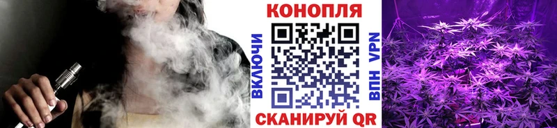 даркнет наркотические препараты  Бодайбо  Марихуана индика 